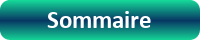 Sommaire